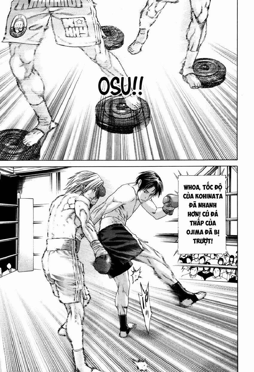 Karate Shoukoushi Kohinata Minoru 318 trang 11