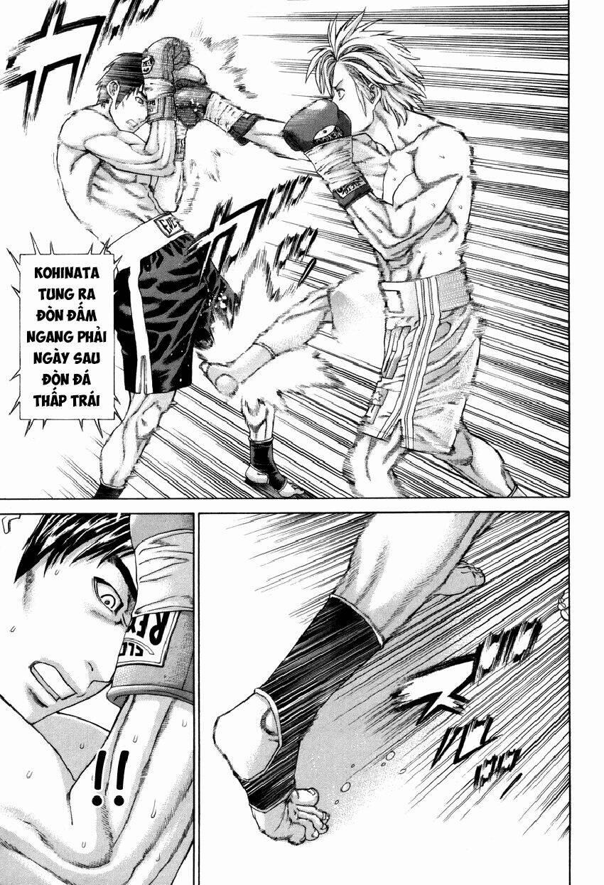 Karate Shoukoushi Kohinata Minoru 320 trang 11