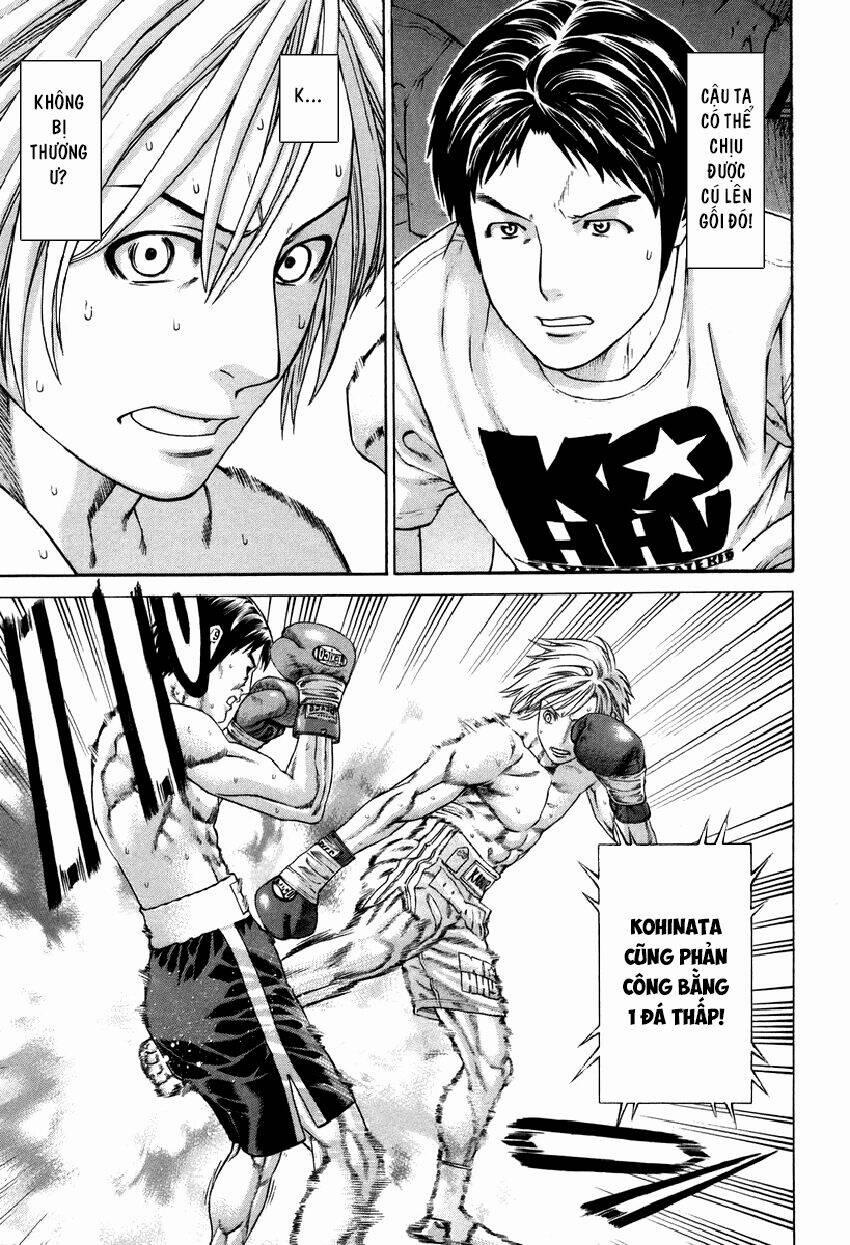 Karate Shoukoushi Kohinata Minoru 320 trang 5