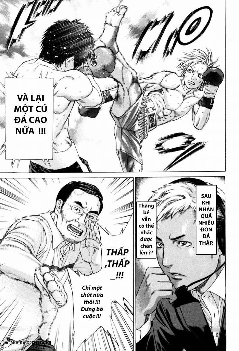 Karate Shoukoushi Kohinata Minoru 322 trang 4