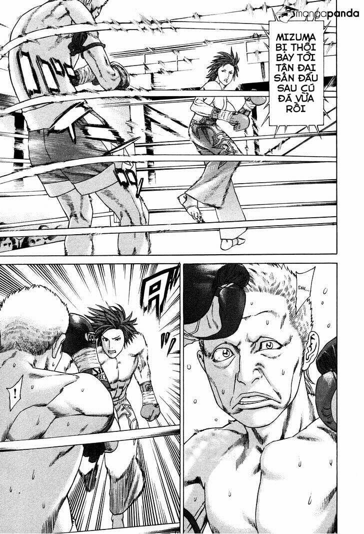 Karate Shoukoushi Kohinata Minoru 323 trang 4