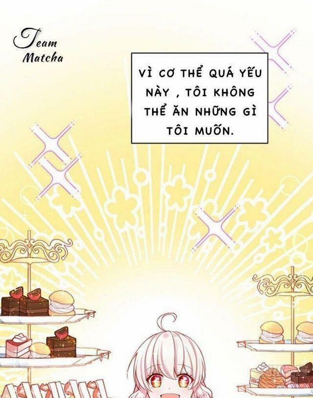 Kế Hoạch Sống Còn Của Công Chúa Phản Diện 1 trang 14