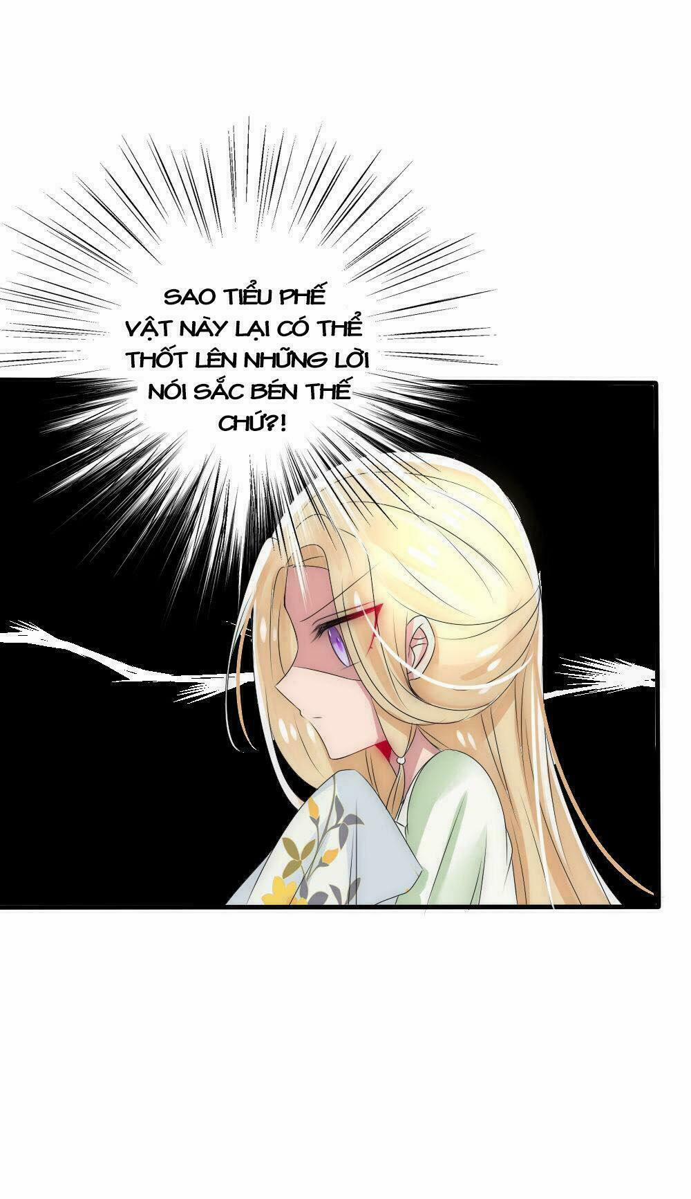 Kế Hoạch Sủng Ái Của Tiểu Công Chúa 19 trang 14