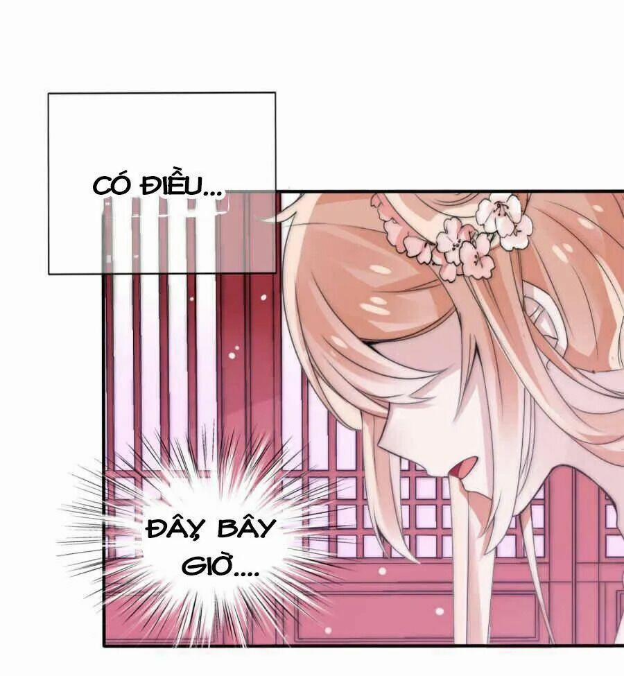 Kế Hoạch Sủng Ái Của Tiểu Công Chúa 2 trang 20