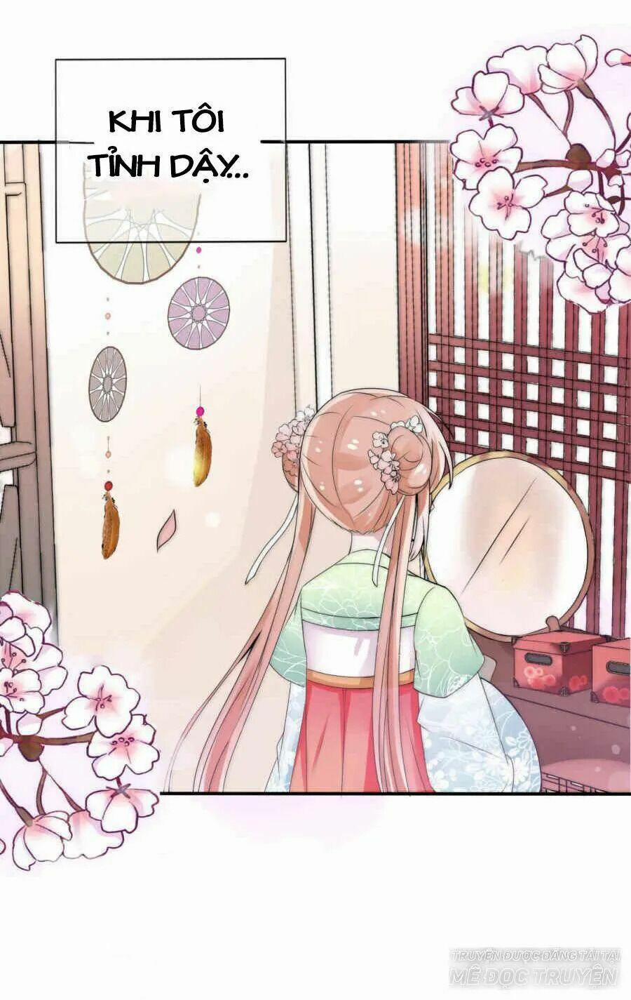 Kế Hoạch Sủng Ái Của Tiểu Công Chúa 2 trang 21