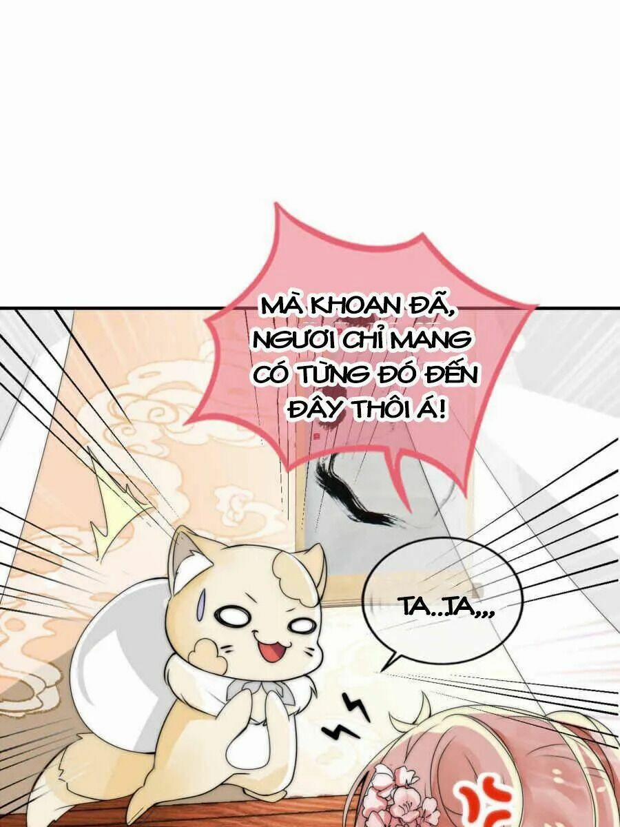 Kế Hoạch Sủng Ái Của Tiểu Công Chúa 2 trang 35