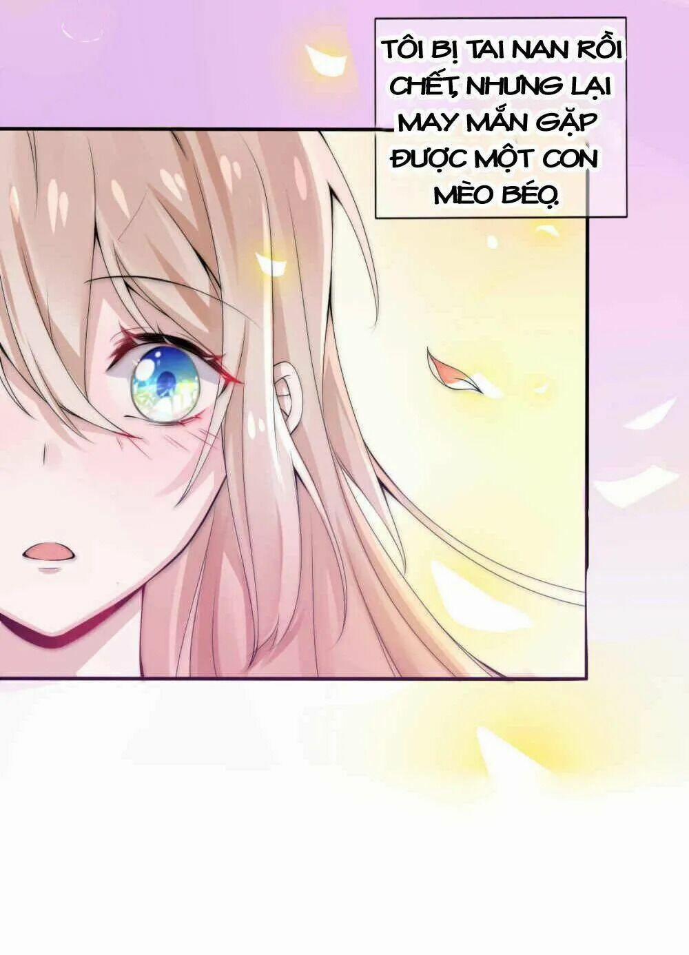 Kế Hoạch Sủng Ái Của Tiểu Công Chúa 2 trang 8