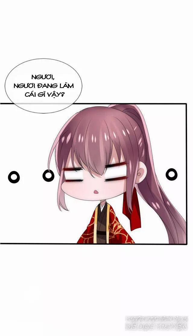 Kế Hoạch Sủng Ái Của Tiểu Công Chúa 28 trang 10