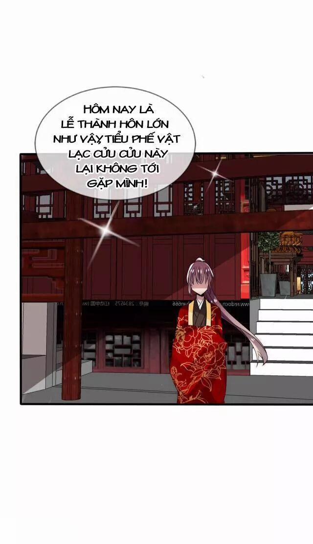 Kế Hoạch Sủng Ái Của Tiểu Công Chúa 28 trang 3