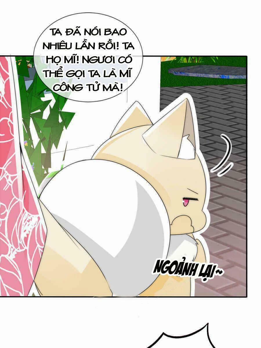 Kế Hoạch Sủng Ái Của Tiểu Công Chúa 3 trang 3