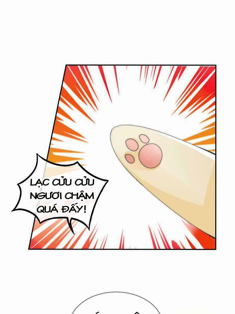 Kế Hoạch Sủng Ái Của Tiểu Công Chúa 3 trang 5