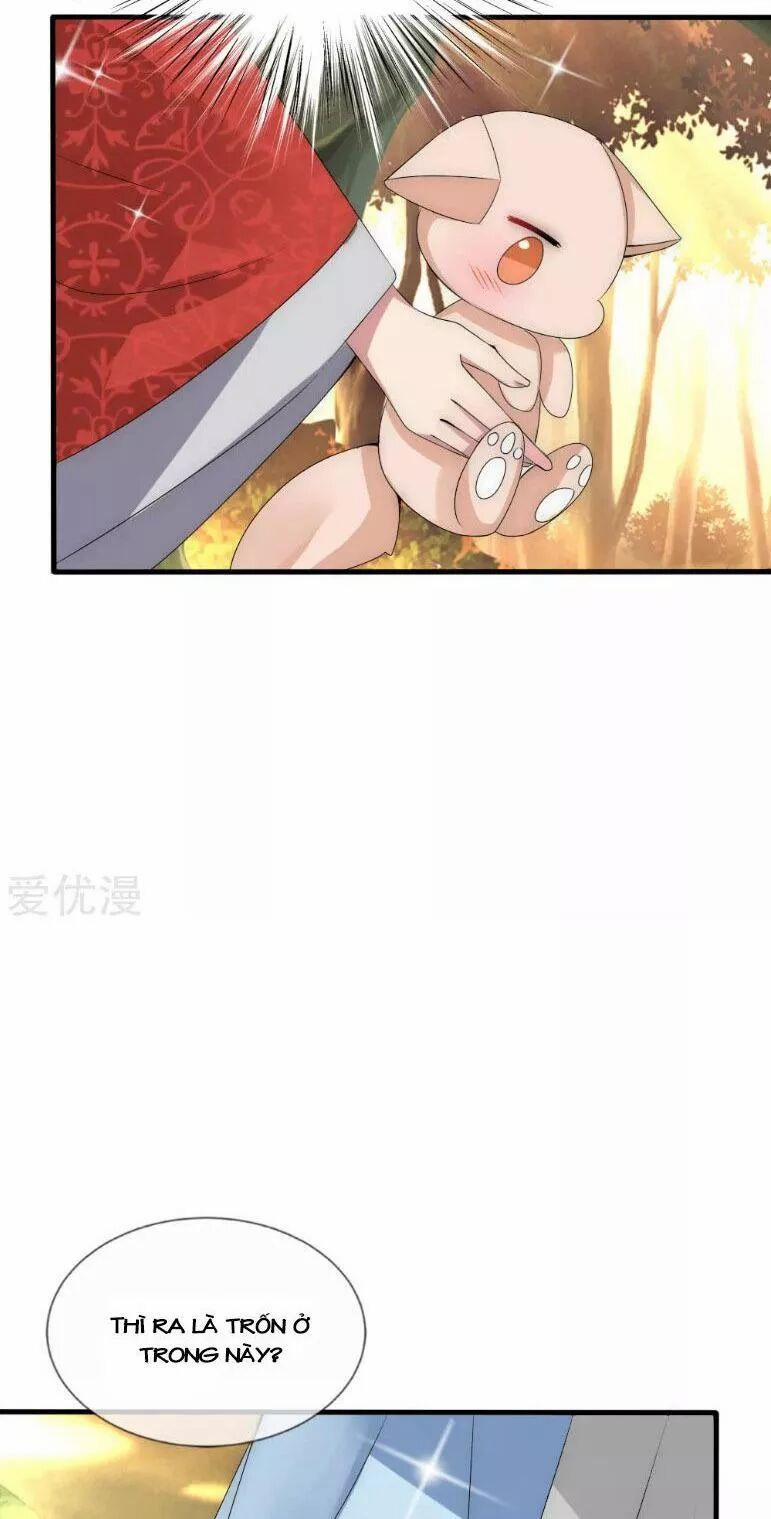 Kế Hoạch Sủng Ái Của Tiểu Công Chúa 36 trang 4