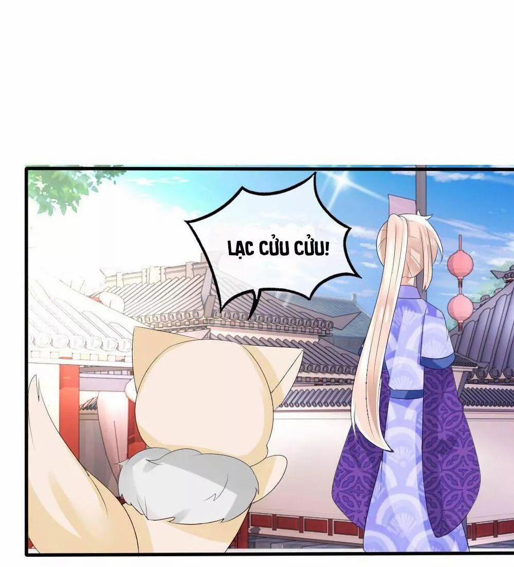 Kế Hoạch Sủng Ái Của Tiểu Công Chúa 41 trang 48