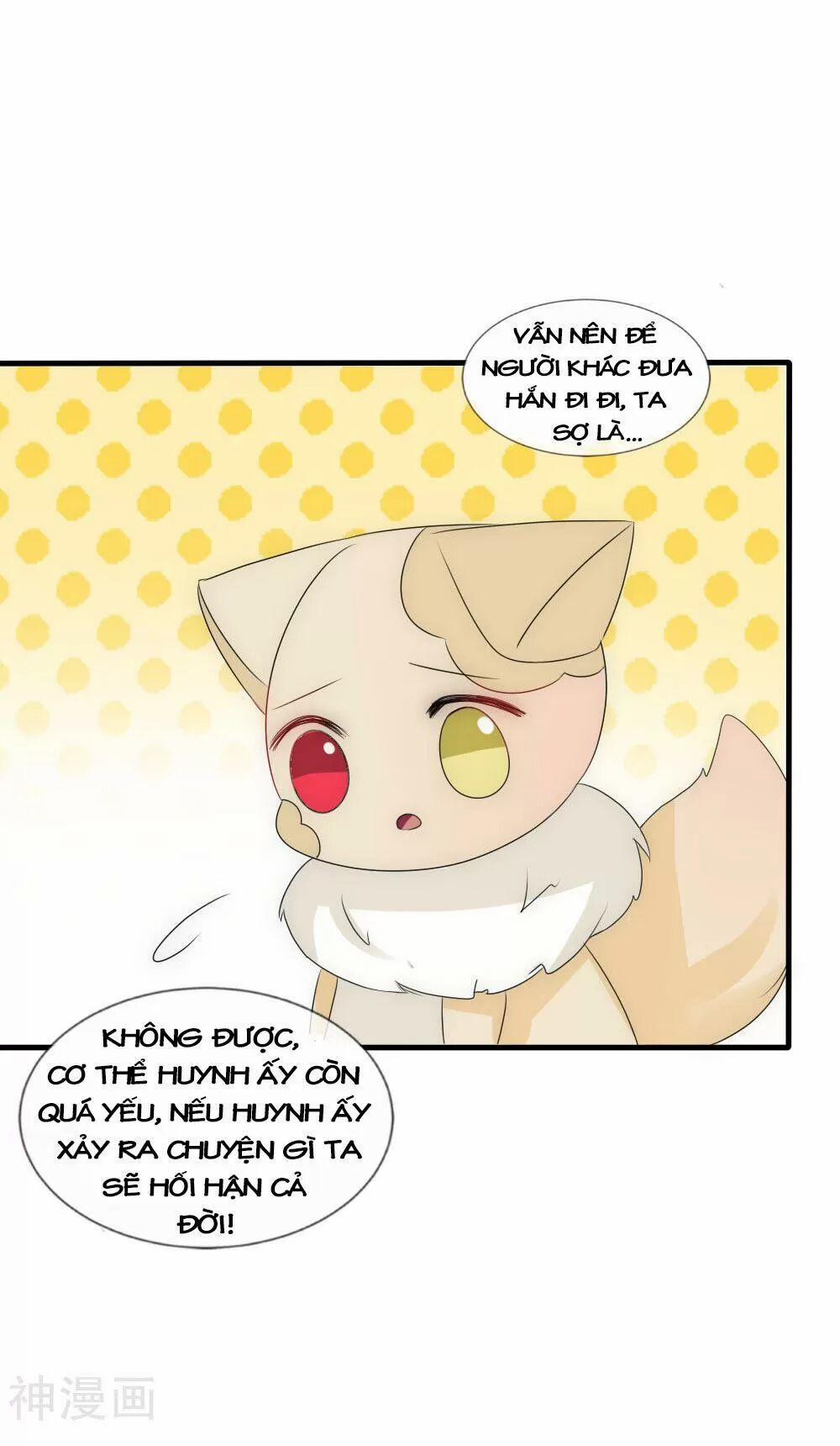 Kế Hoạch Sủng Ái Của Tiểu Công Chúa 52 trang 2