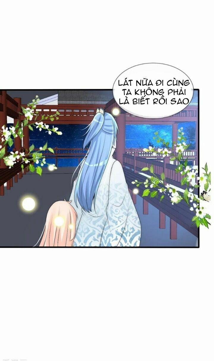 Kế Hoạch Sủng Ái Của Tiểu Công Chúa 71 trang 4