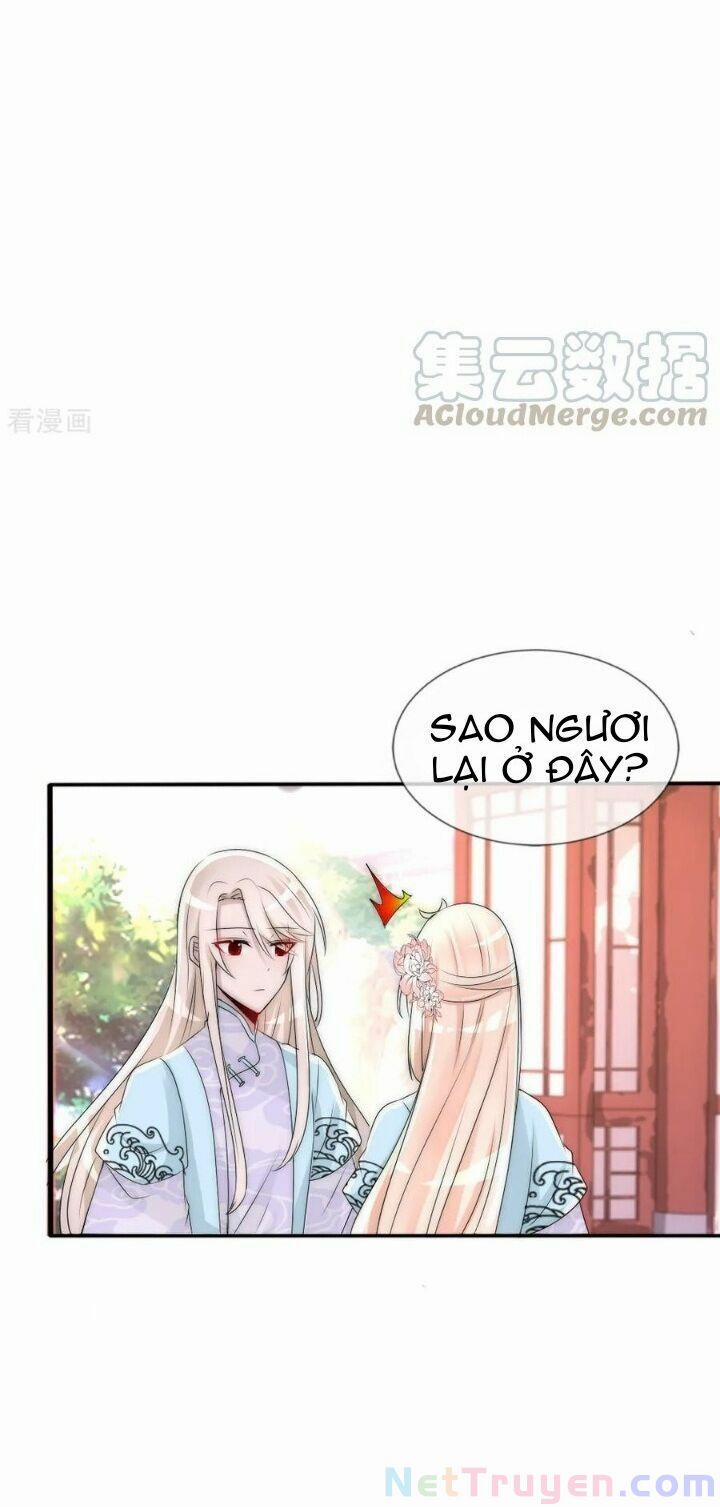 Kế Hoạch Sủng Ái Của Tiểu Công Chúa 78 trang 24