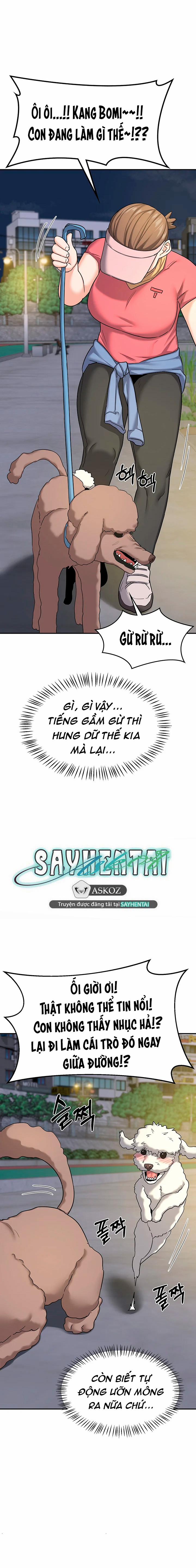 Kế hoạch trao đổi mẹ 22 trang 17