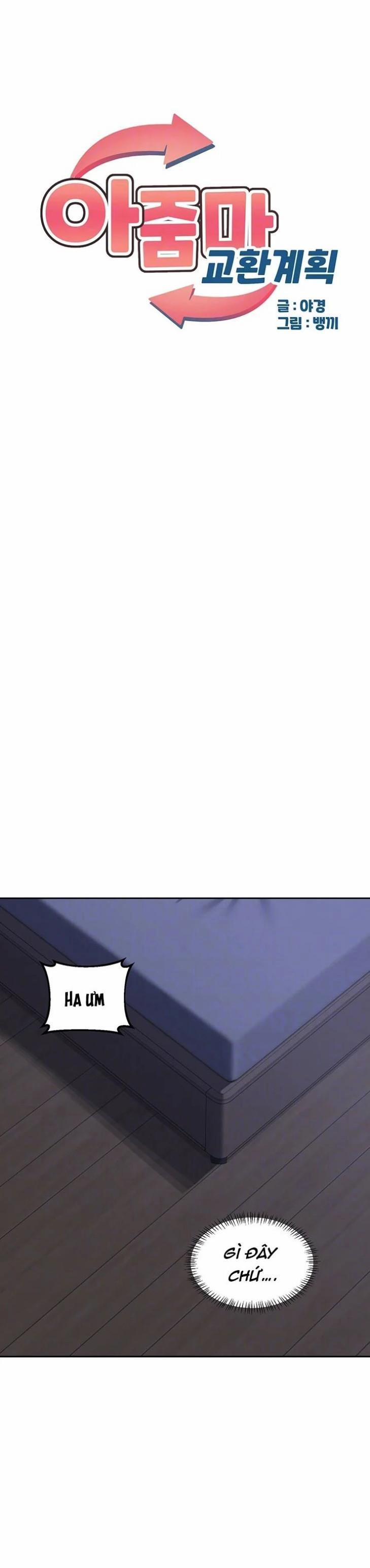 Kế hoạch trao đổi mẹ 40 trang 0