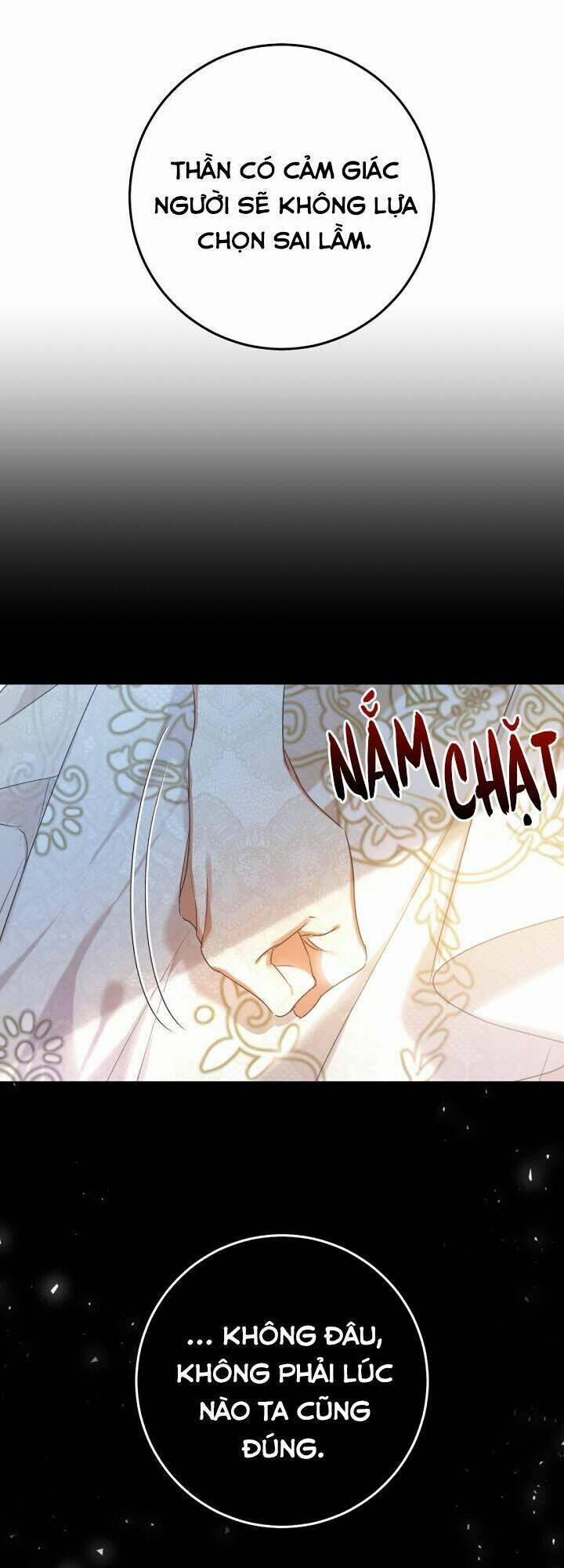 Kẻ Phản Diện Là Một Con Rối 25 trang 12