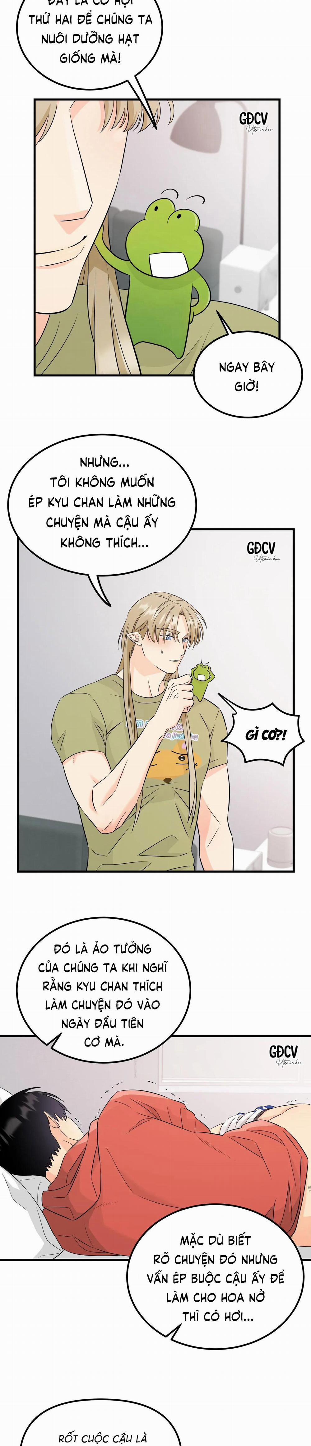 Kết Đôi Với Chàng Tiên 5 trang 3