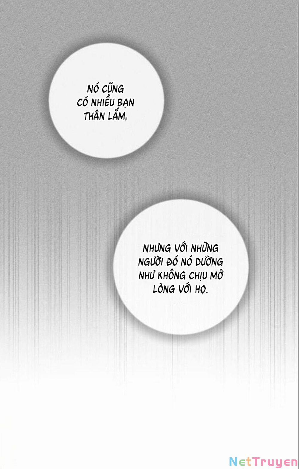 Kết Thúc Nhất Định Sẽ Có Hậu 19 trang 16