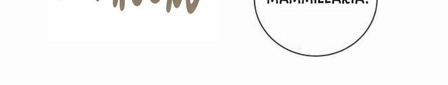 Kết Thúc Nhất Định Sẽ Có Hậu 50 trang 51