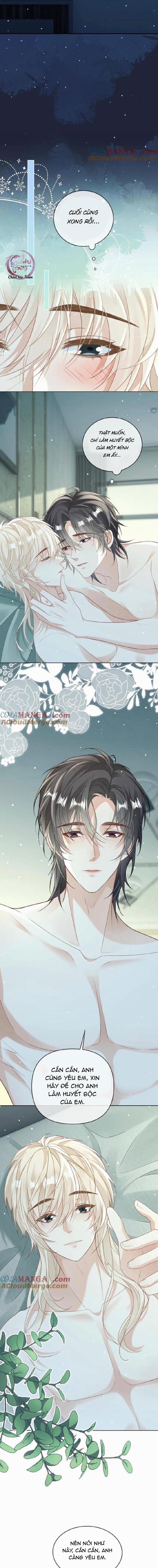 Khát vọng ngọt ngào 179 trang 1