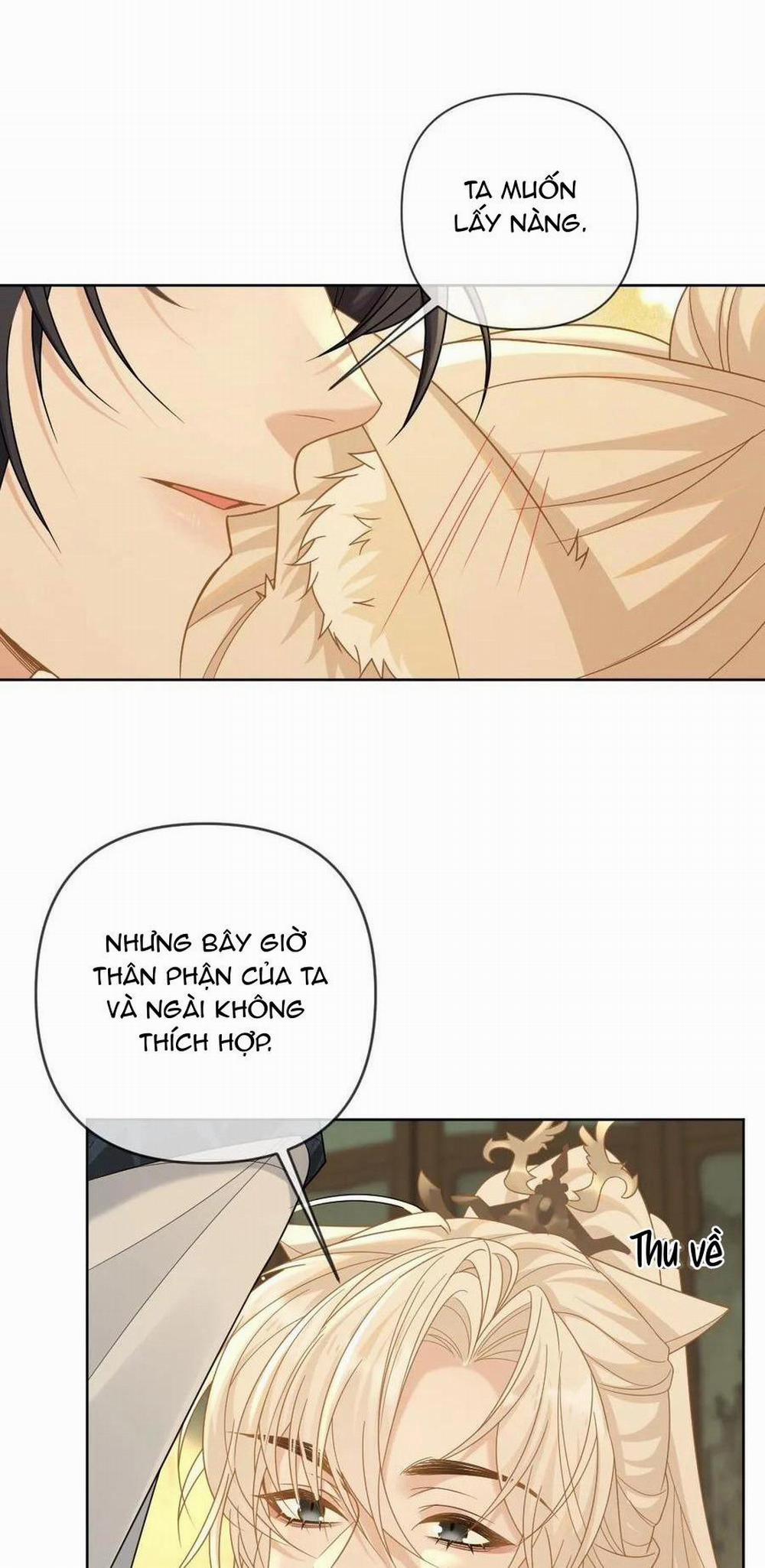 Khát vọng ngọt ngào 213 trang 12