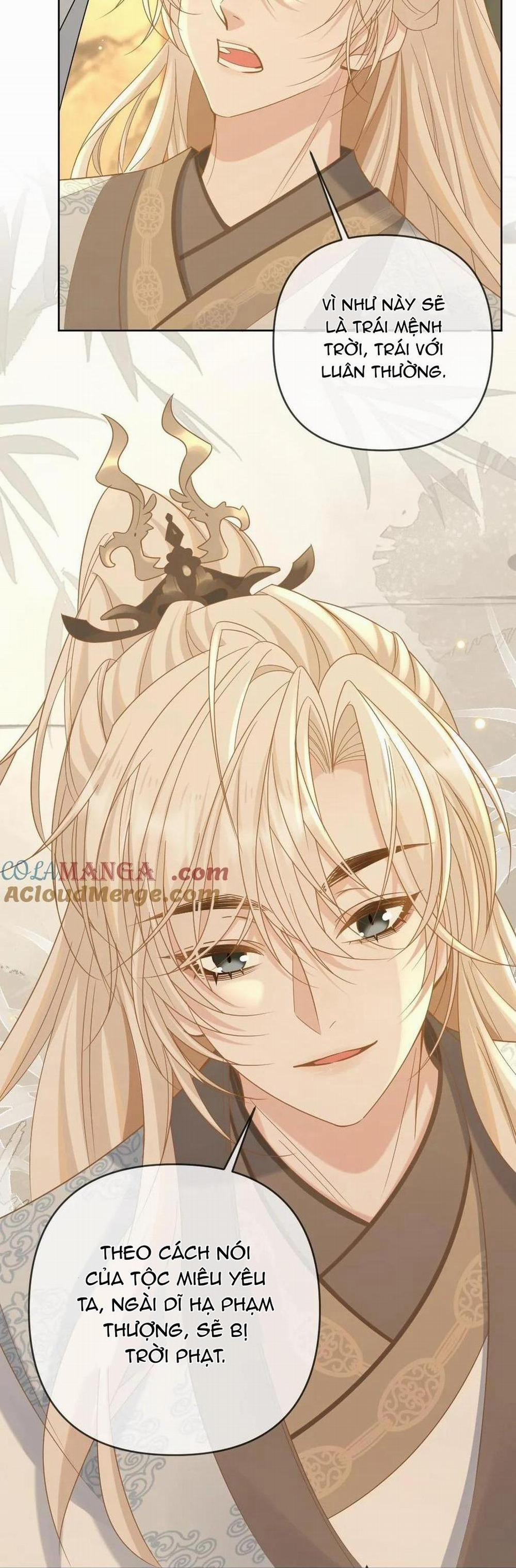 Khát vọng ngọt ngào 213 trang 13