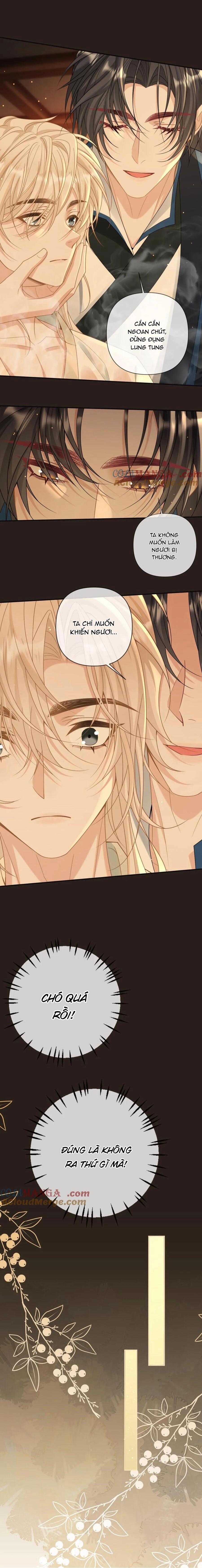 Khát vọng ngọt ngào 222 trang 1