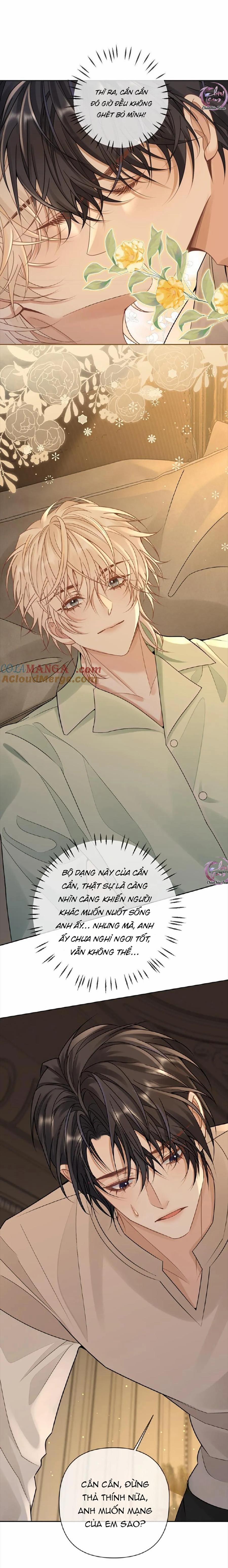 Khát vọng ngọt ngào 278 trang 12