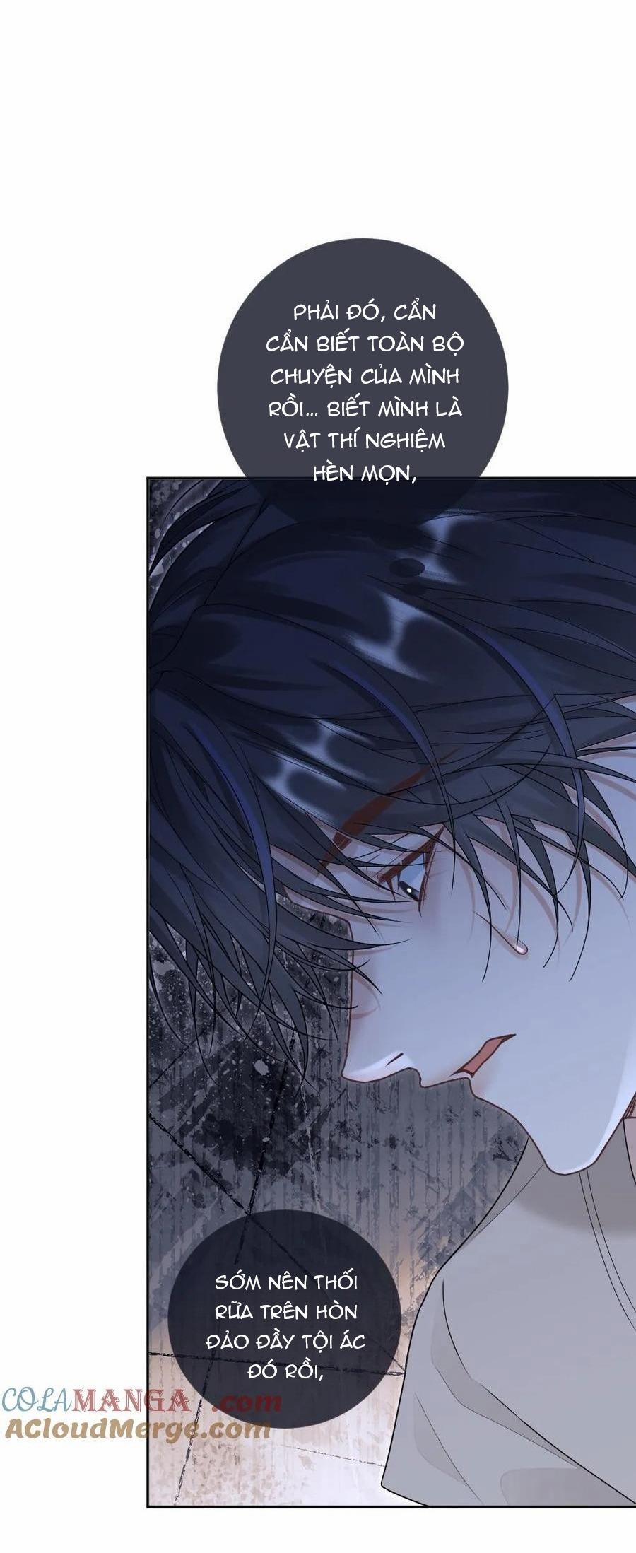 Khát vọng ngọt ngào 278 trang 5