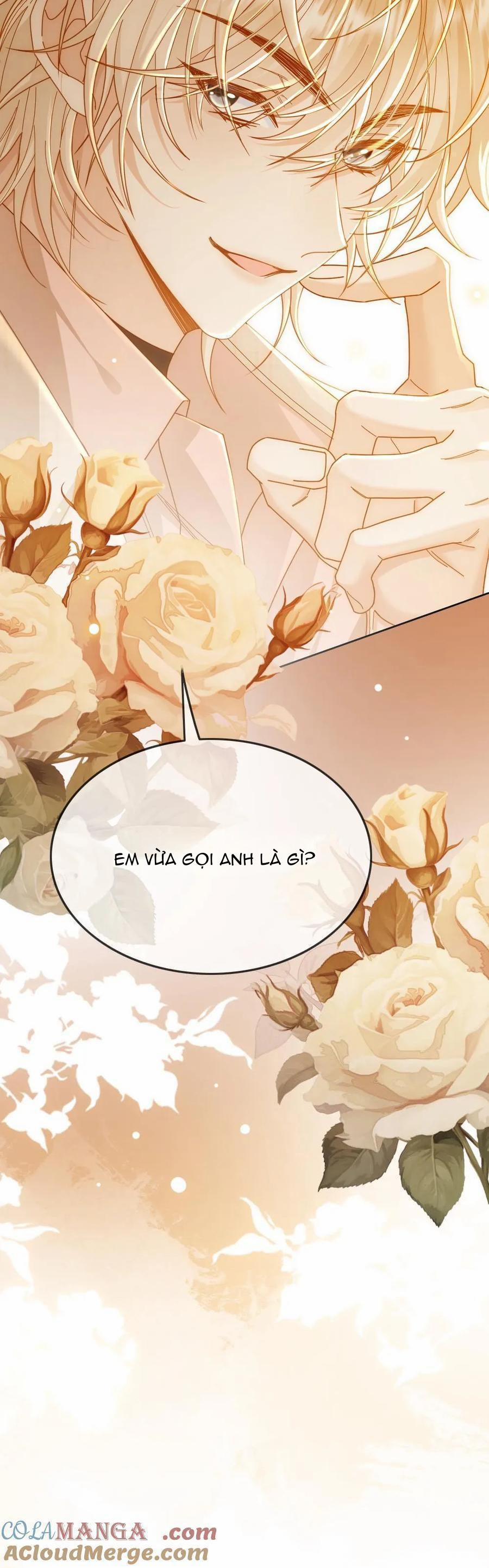 Khát vọng ngọt ngào 282 trang 14