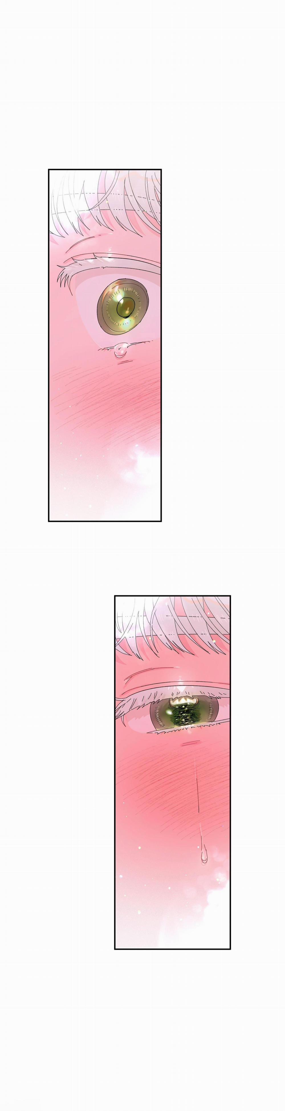 Khi con trym dẫn lối tình yêu 4 trang 36