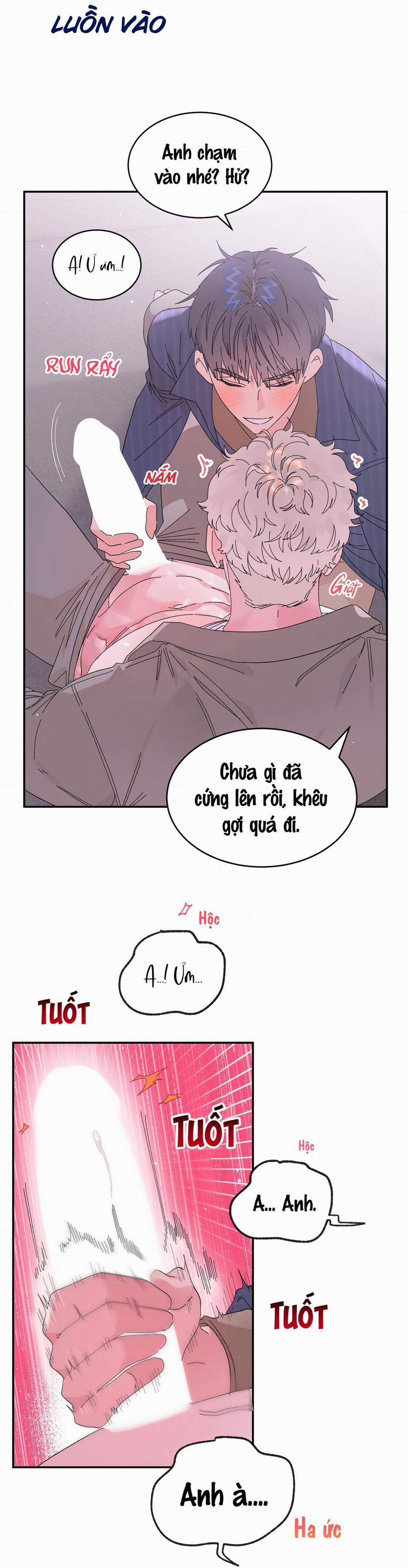 Khi con trym dẫn lối tình yêu 5 trang 13