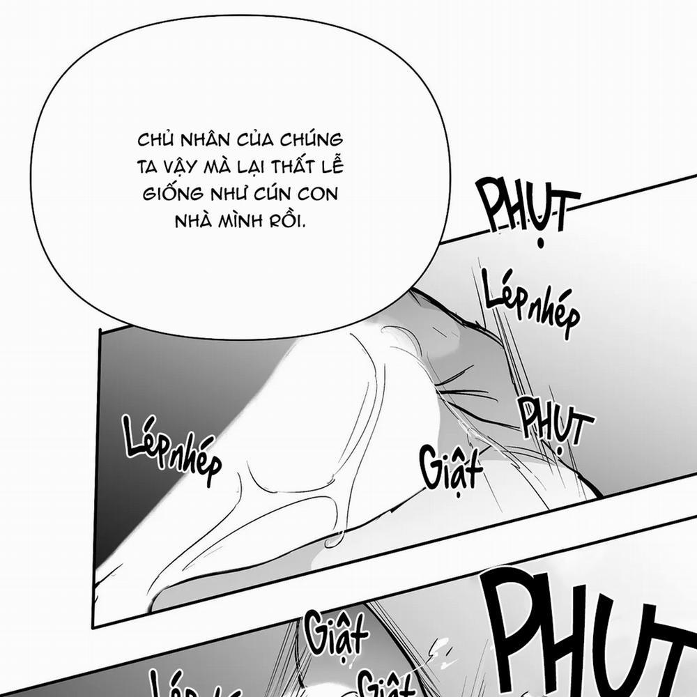 Khi Đôi Chân Thôi Bước 48 trang 12