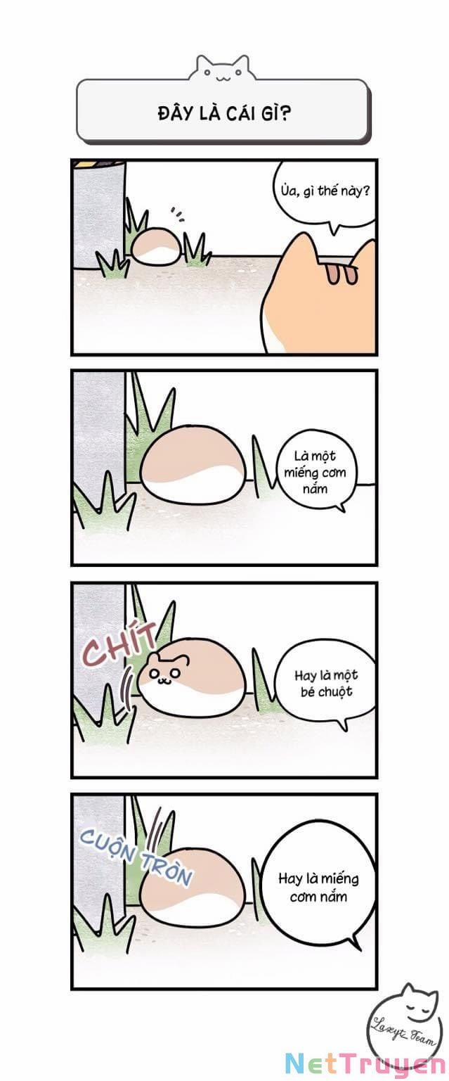 Khi Loài Mèo Làm Bá Chủ Thế Giới 1 trang 3