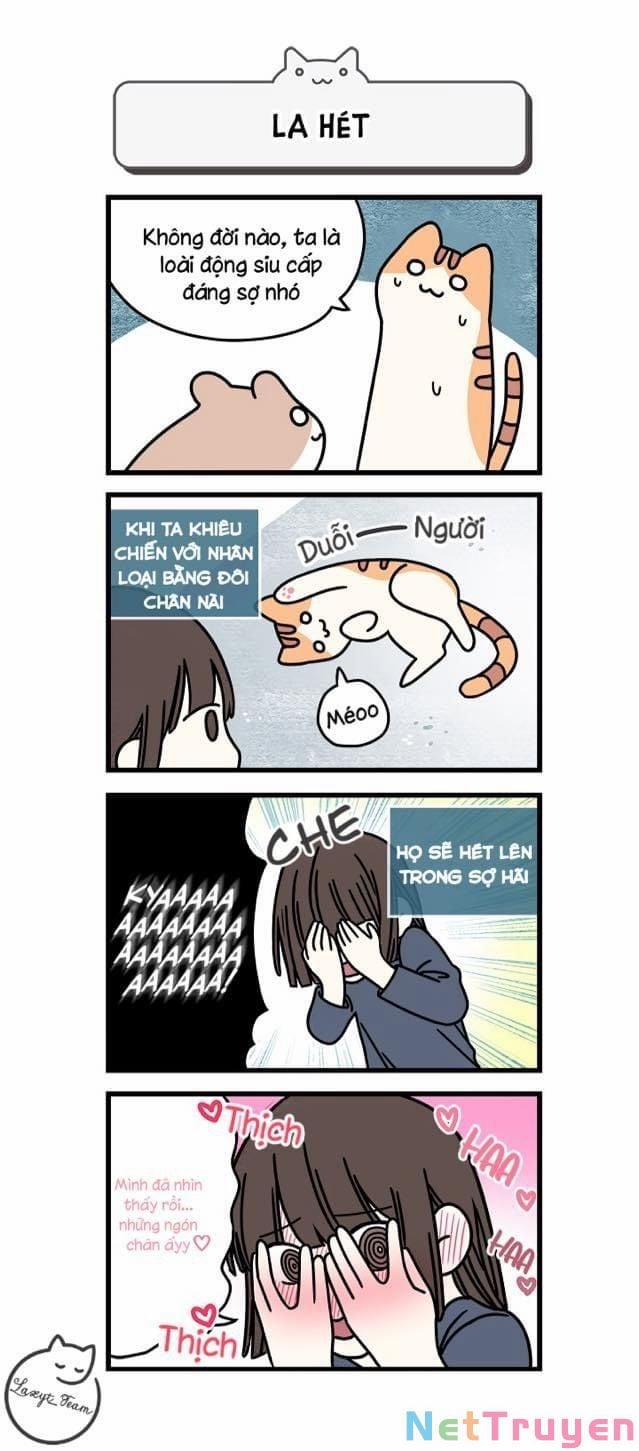 Khi Loài Mèo Làm Bá Chủ Thế Giới 1 trang 6