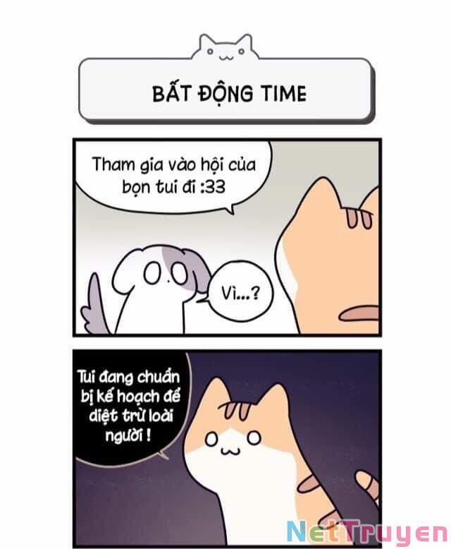 Khi Loài Mèo Làm Bá Chủ Thế Giới 2 trang 2