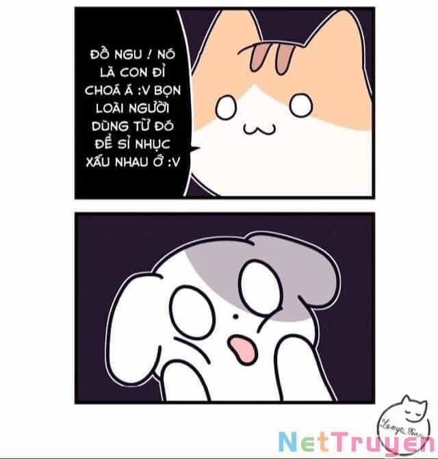 Khi Loài Mèo Làm Bá Chủ Thế Giới 2 trang 5