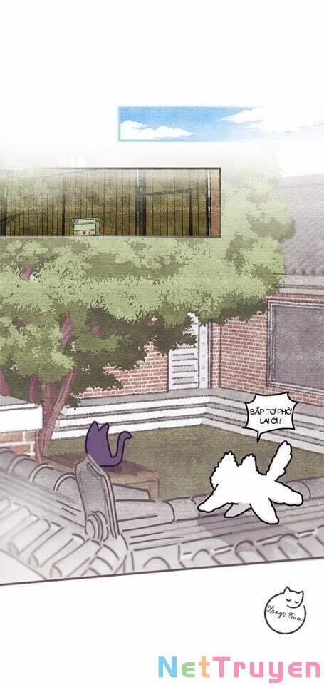 Khi Loài Mèo Làm Bá Chủ Thế Giới 2 trang 6