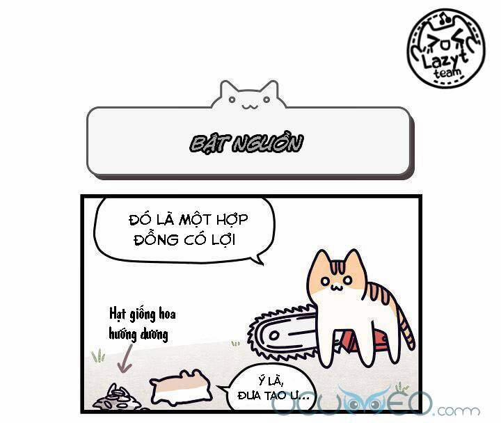 Khi Loài Mèo Làm Bá Chủ Thế Giới 5 trang 7