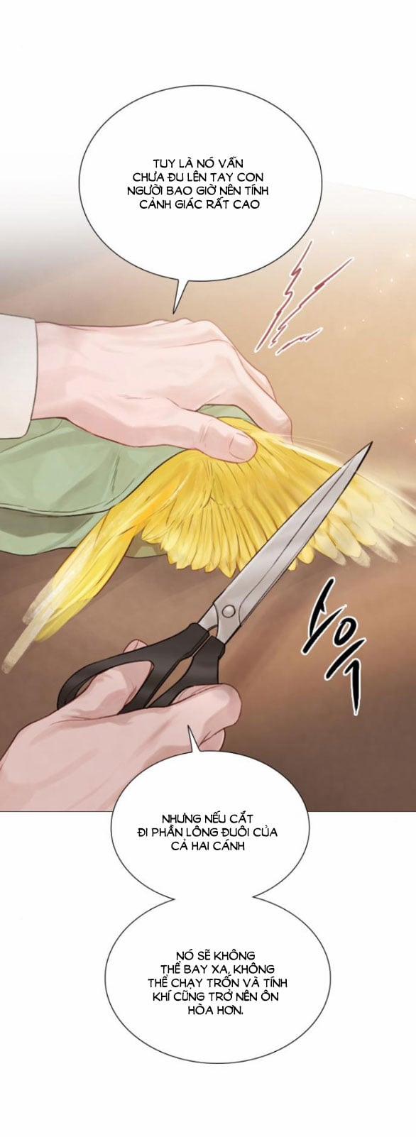 Khóc Đi Hay Là Cầu Xin Tôi Cũng Được 11.2 trang 12