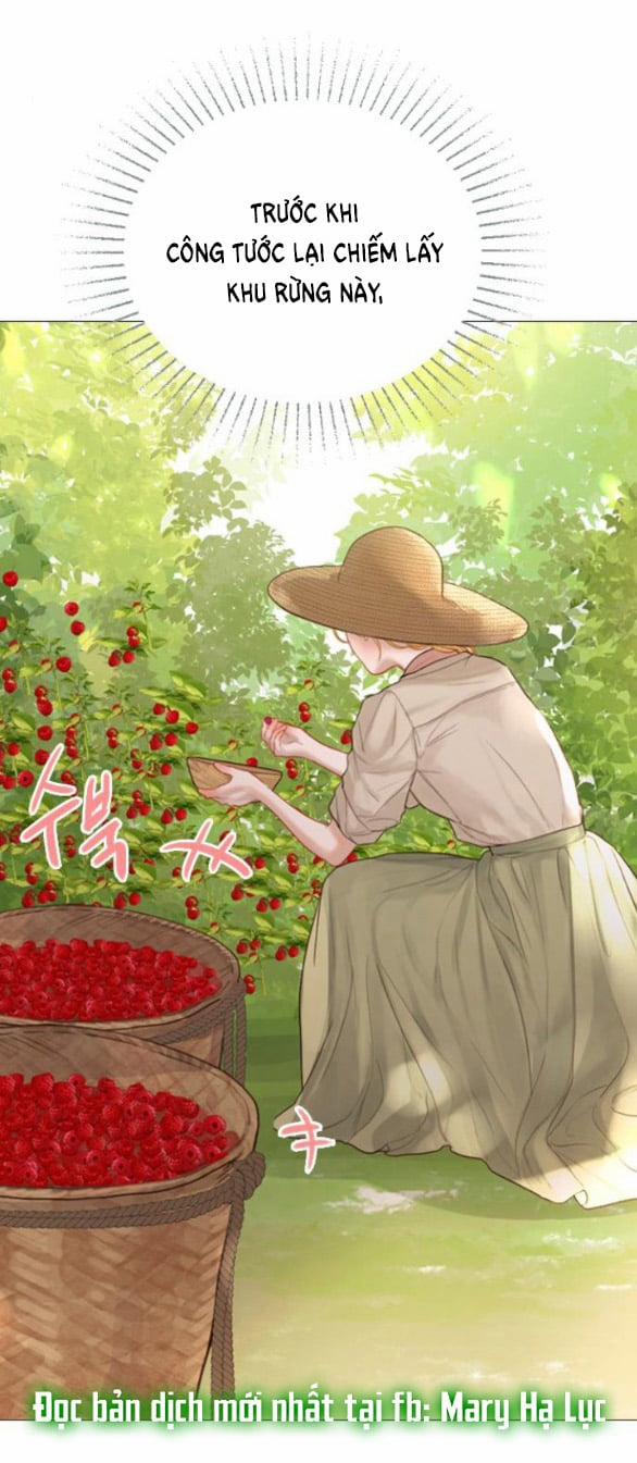 Khóc Đi Hay Là Cầu Xin Tôi Cũng Được 12.1 trang 13