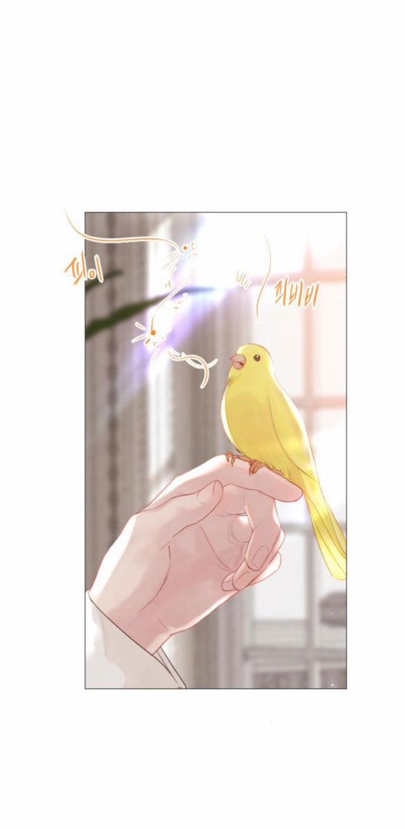 Khóc Đi Hay Là Cầu Xin Tôi Cũng Được 14.1 trang 39