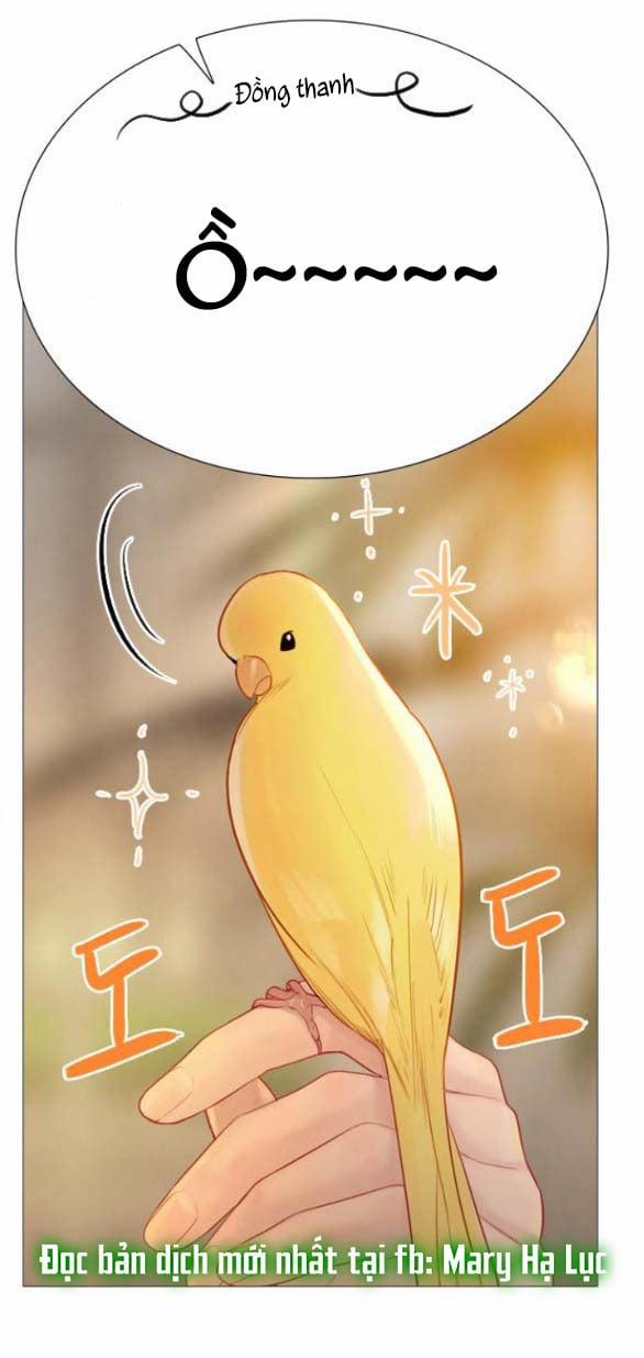 Khóc Đi Hay Là Cầu Xin Tôi Cũng Được 21.1 trang 15