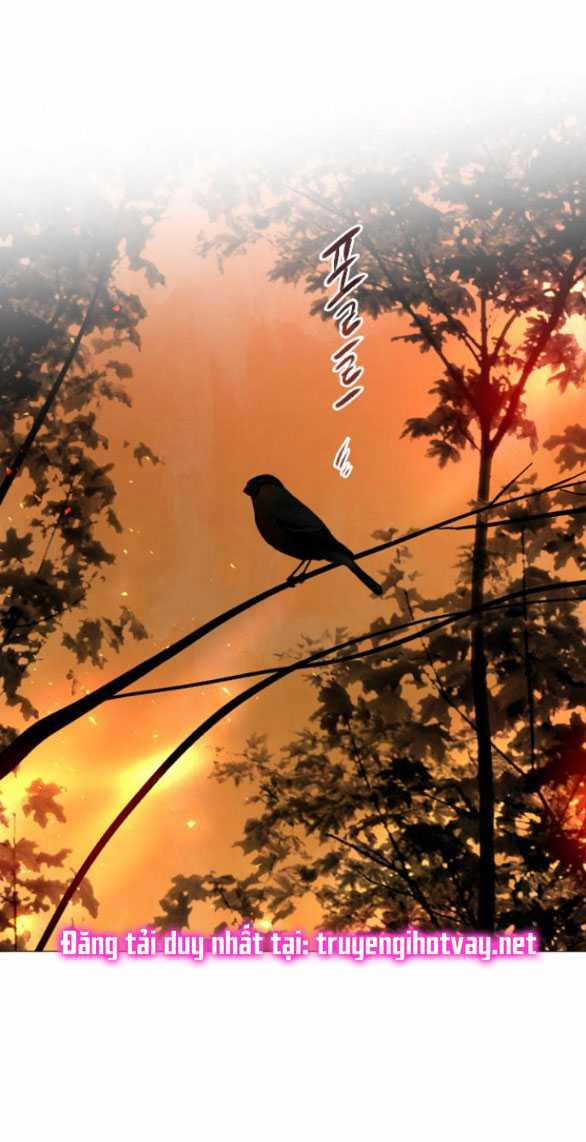 Khóc Đi Hay Là Cầu Xin Tôi Cũng Được 23.2 trang 12