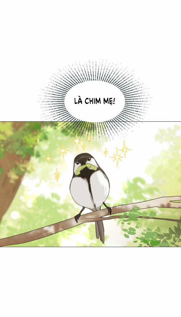 Khóc Đi Hay Là Cầu Xin Tôi Cũng Được 3.2 trang 3