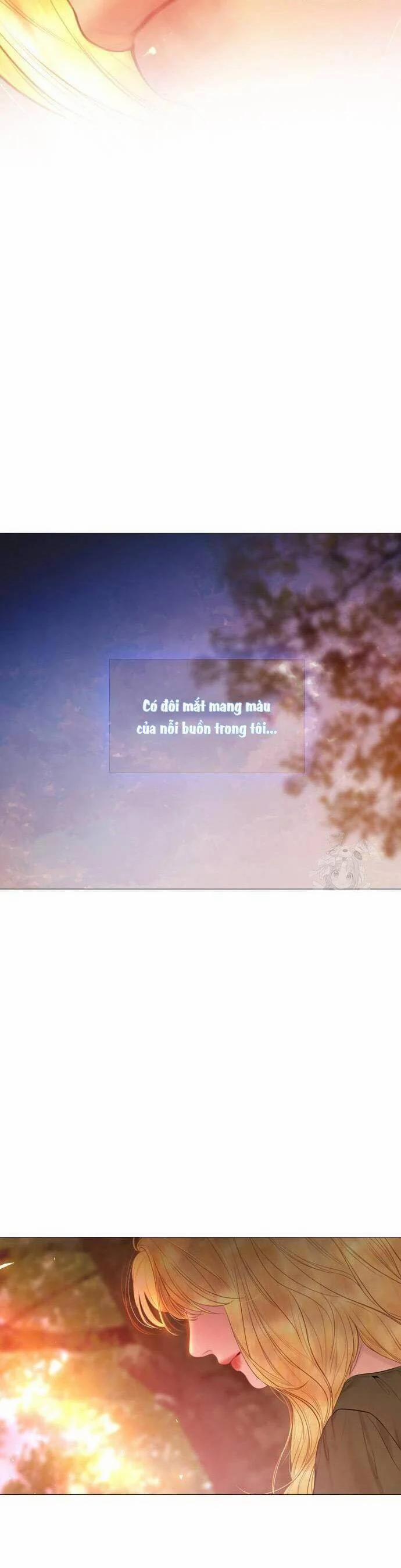 Khóc Đi Hay Là Cầu Xin Tôi Cũng Được 36 trang 51