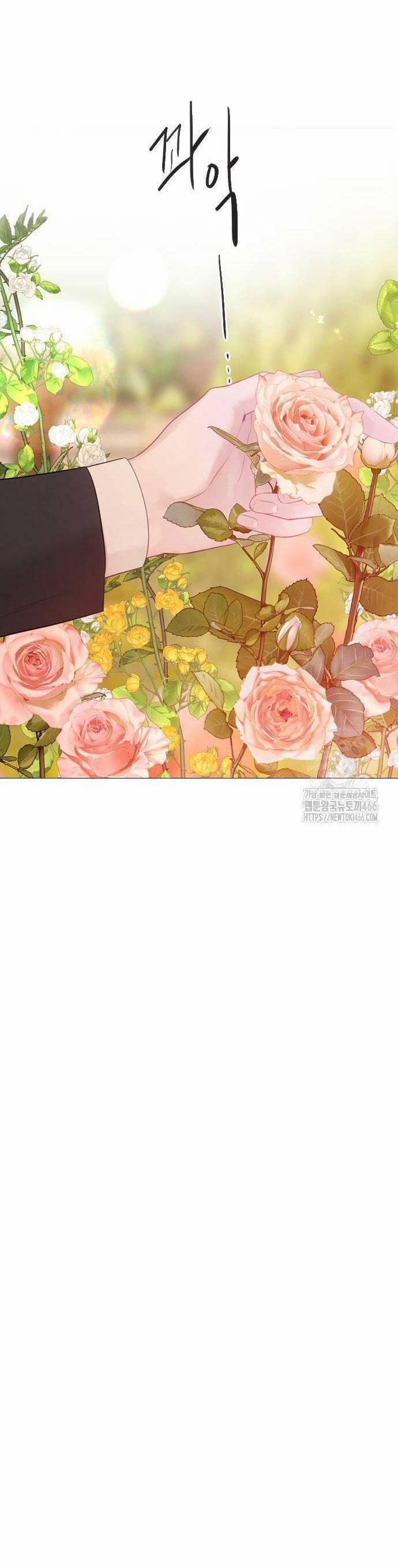 Khóc Đi Hay Là Cầu Xin Tôi Cũng Được 37 trang 41